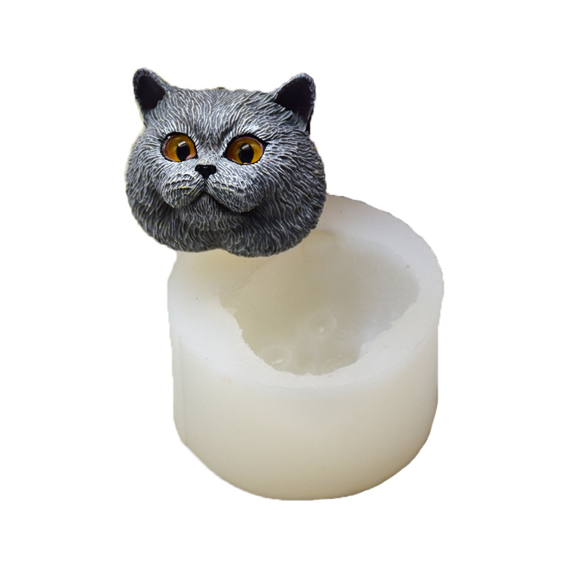 Model Kit For Beginners - Moule en silicone en forme de