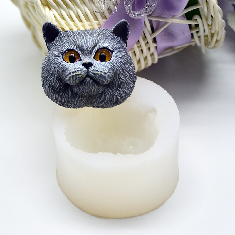 Moule en silicone en forme de  - Model Kit For Beginners avis et prix