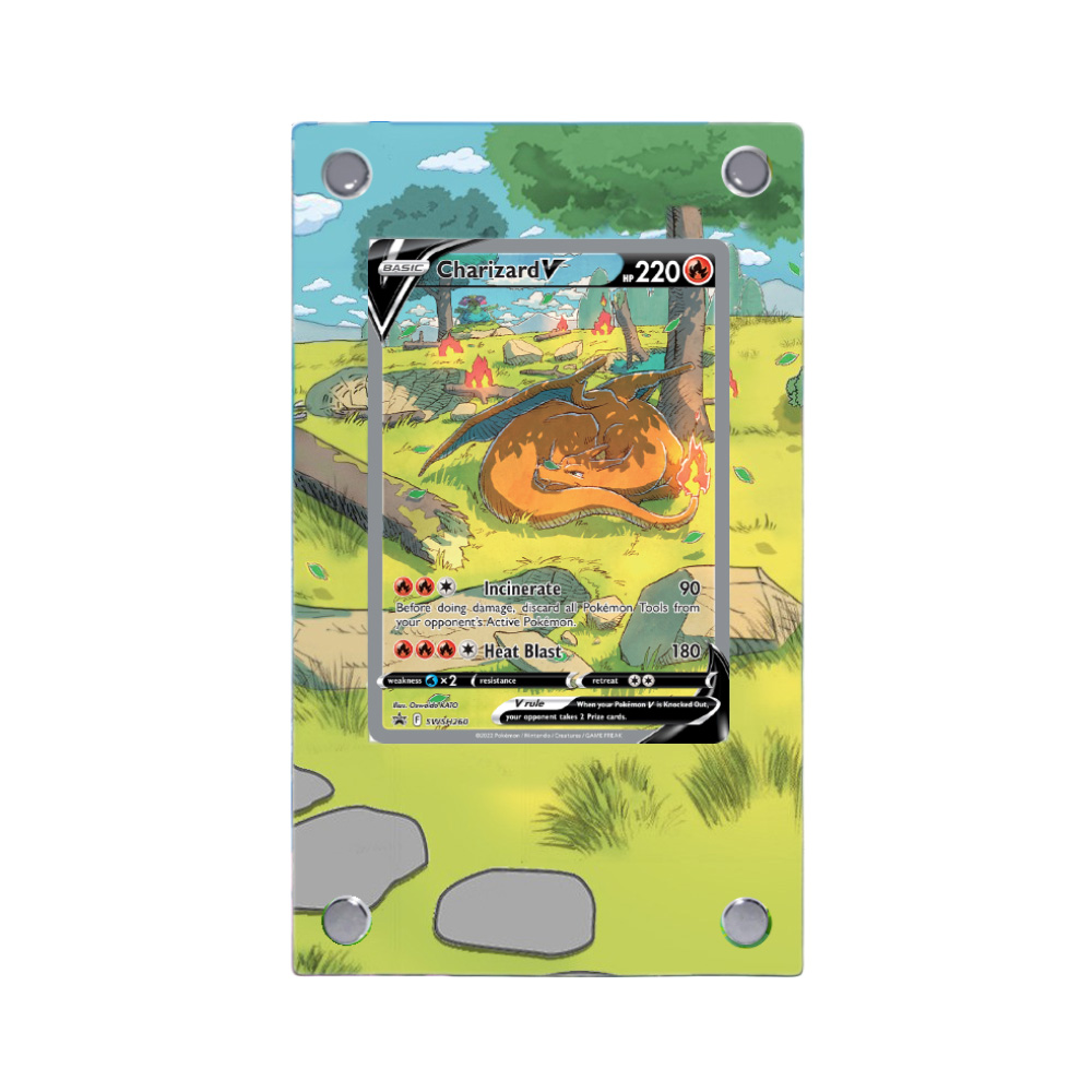 Umbreon Charizard Raikou Pokem - Model Kit Umbreon avis et prix